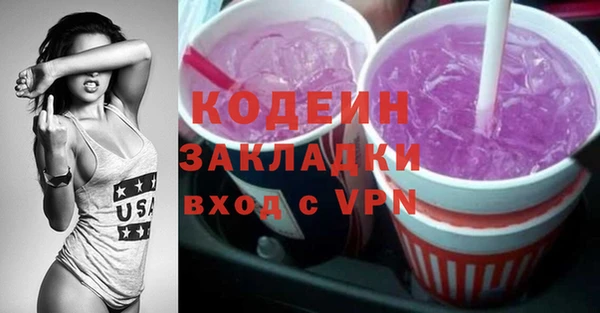 индика Няндома