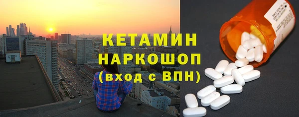 индика Няндома