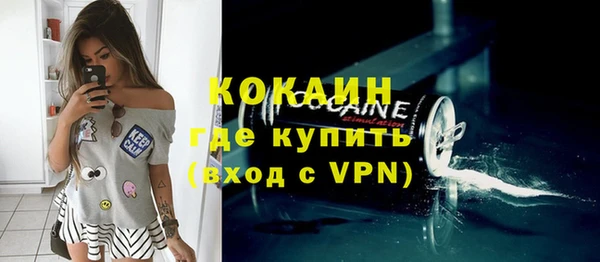 индика Няндома