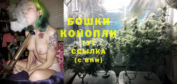 индика Няндома