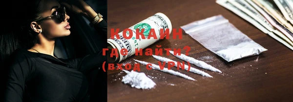 индика Няндома