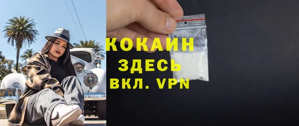 индика Няндома