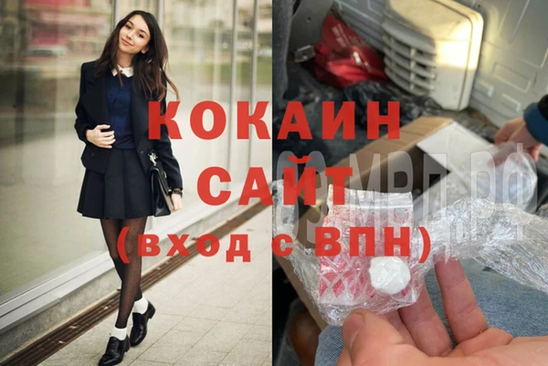 индика Няндома