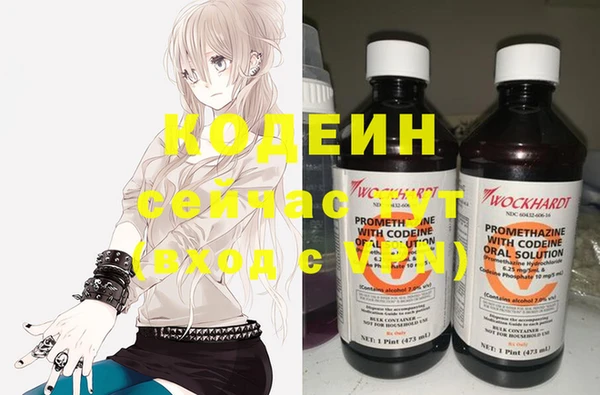 индика Няндома