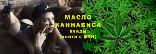 индика Няндома