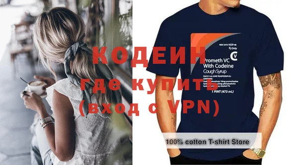 индика Няндома