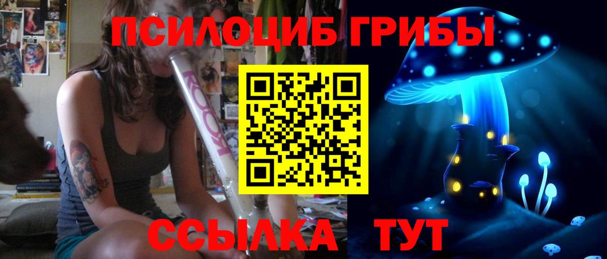 Псилоцибиновые грибы GOLDEN TEACHER Усолье-Сибирское