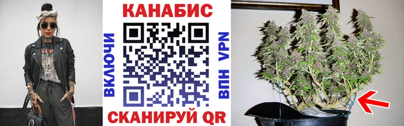 закладки  Усолье-Сибирское  Канабис конопля 